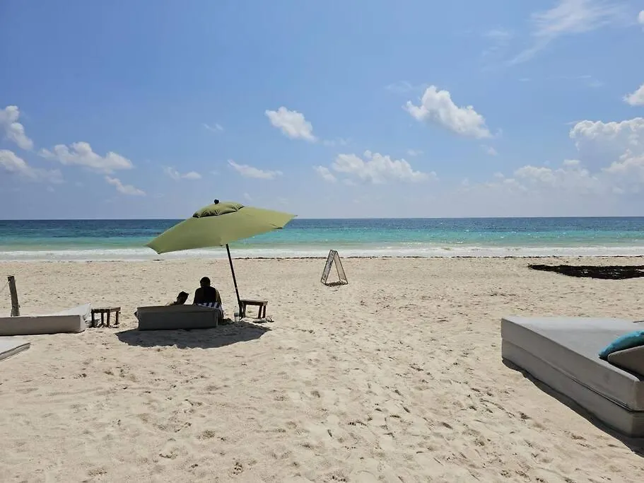 Elle 107 Tropical Aldea Zama Tulum Condo